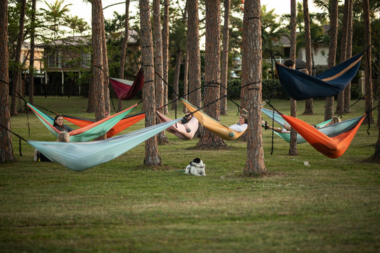 Multiple Nakie hammocks hanging between trees in a forested campsite, with a small dog standing on the grass below.