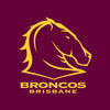 Broncos - NRL Recycled Hammock with Straps swatch 1.0