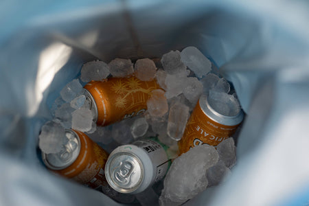 Spring Green - Recycled Cooler Backpack