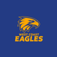 West Coast Eagles - AFL Recycled Sand Free Beach Towel colour swatch